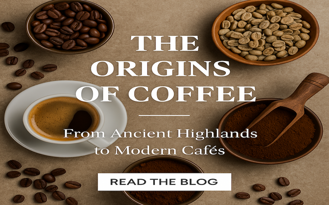 From Ancient Highlands to Modern Cafés: The Origins of Coffee