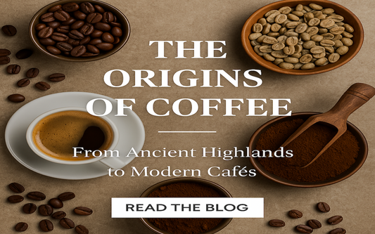 From Ancient Highlands to Modern Cafés: The Origins of Coffee