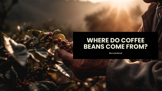 Where Do Coffee Beans Come From?