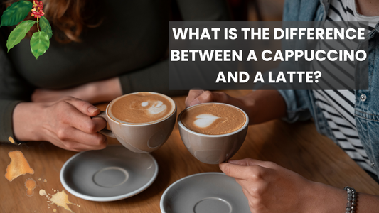 What is the difference between a cappuccino and a latte?
