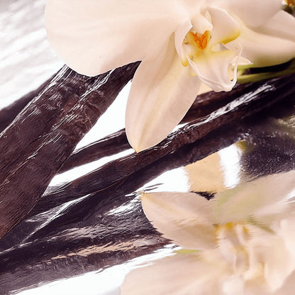 Pure Ethereal Tallow Repair Balm